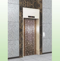 VRS Elevators Door